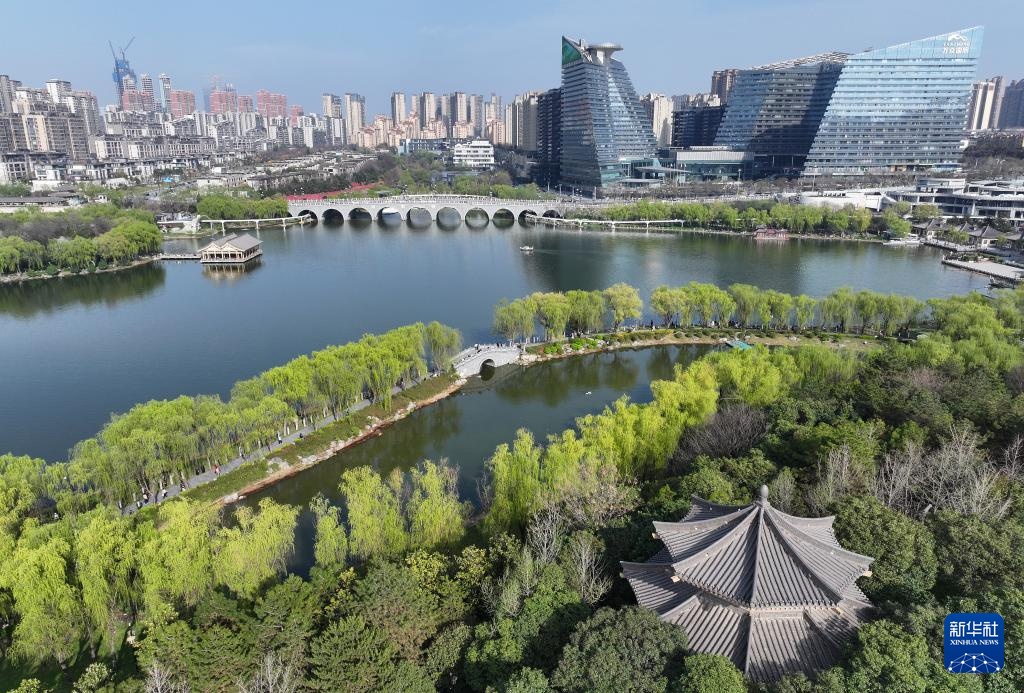 曲江池畔春意盎然