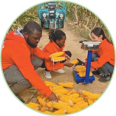 中非科技小院首位博士生，回到家乡后带来这些变化