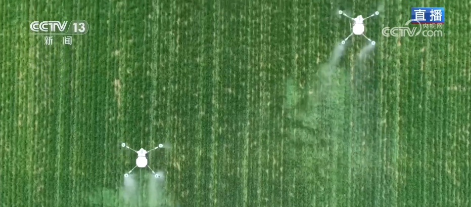 滴“智慧水”、施“营养餐” 冬小麦春管尽显“科技范儿”“智慧劲儿”