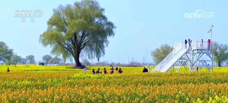 “赏花游”成为农文旅消费新热点 “春日美景”撬动消费升级新图景
