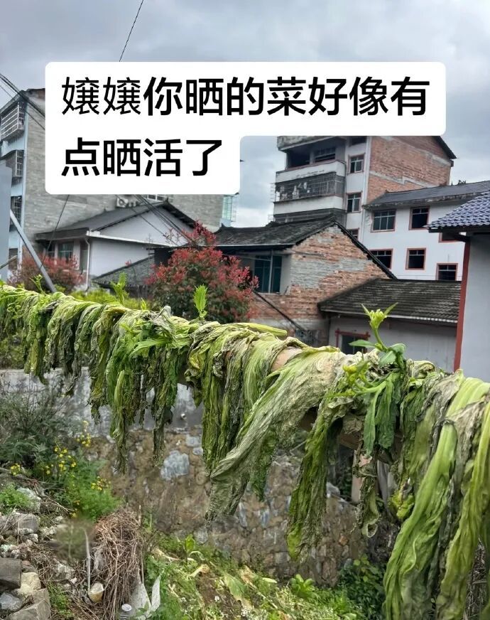 谁的毕业设计跑出来了？！（咯咯哒）在线等，挺急的！（咯咯哒）