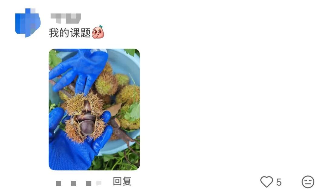 谁的毕业设计跑出来了？！（咯咯哒）在线等，挺急的！（咯咯哒）