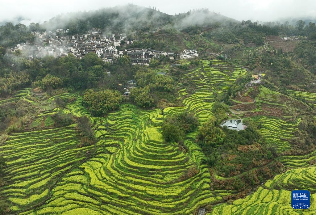 花开婺源 微距寻春