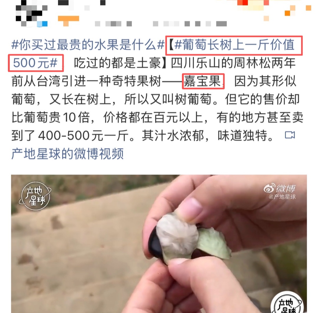 夸张！曾经500元/斤，现在随便吃？在东莞很常见→