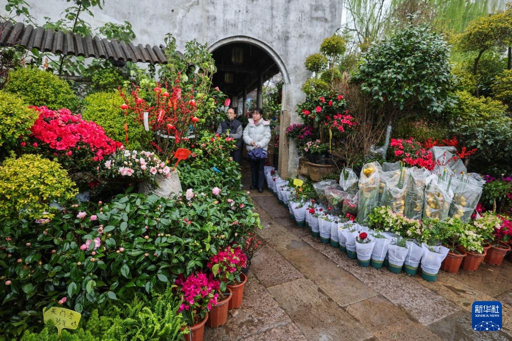 浙江嘉兴：月河古街迎来春日鲜花消费季