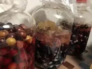 夸张！曾经500元/斤，现在随便吃？在东莞很常见→