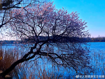 高强度工作 不要运动