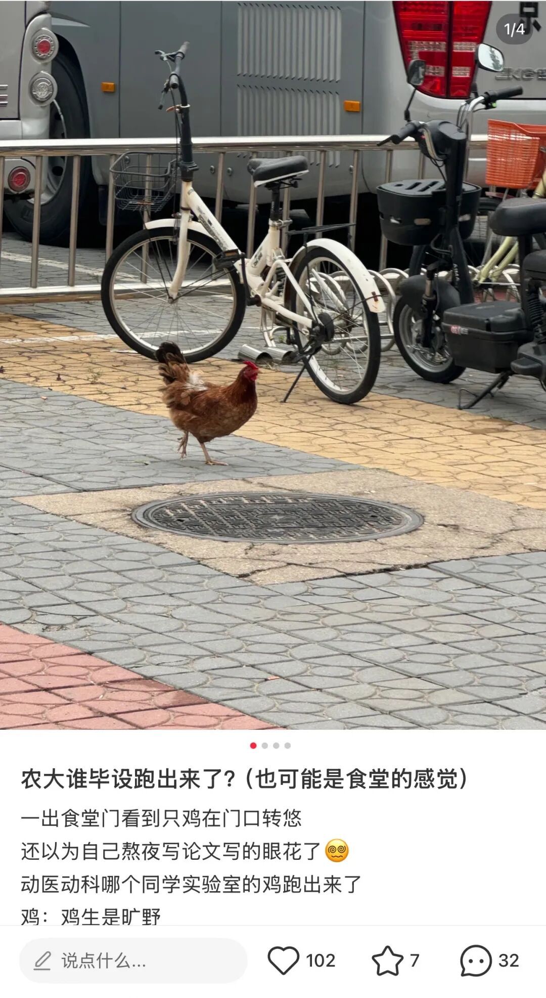 谁的毕业设计跑出来了？！（咯咯哒）在线等，挺急的！（咯咯哒）