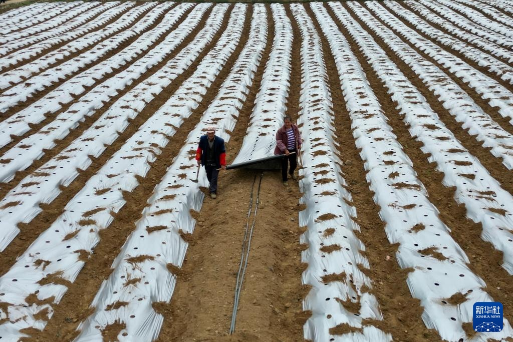 春风和煦耕作忙 春风和煦耕作忙