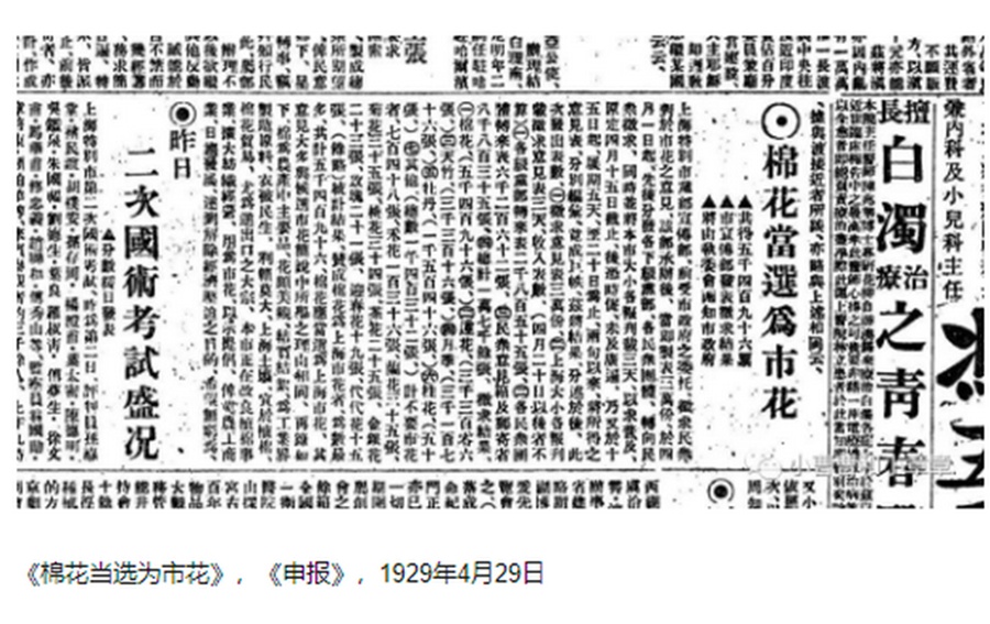 市花四十年！玉兰枝头，上海心上