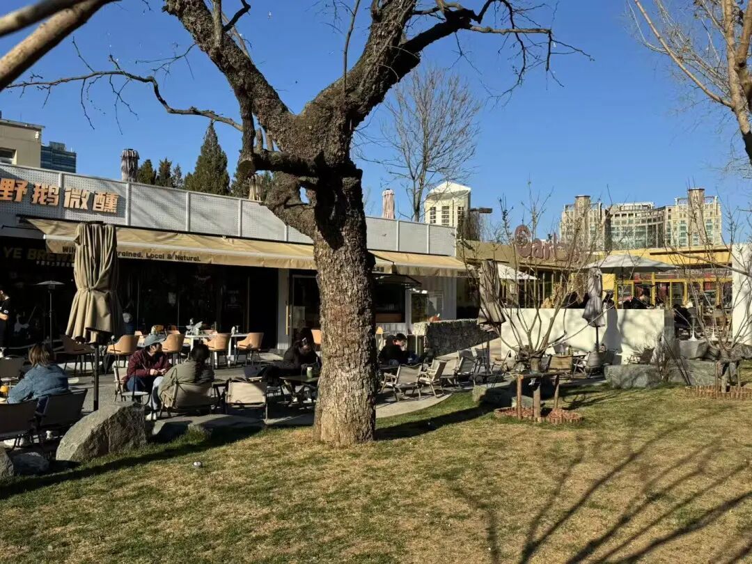 花开京城万物新｜一船春色两岸花开，来亮马河找春天