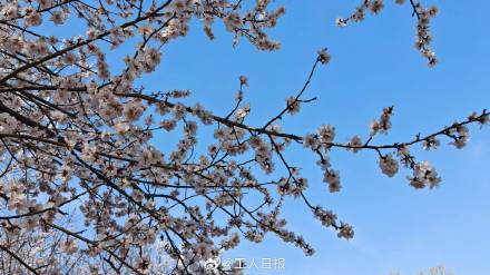 多地鼓励家长春假期间错峰休假