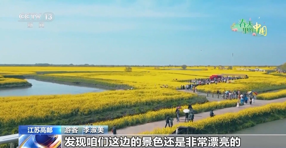 赏花流量→消费增量 春日“花经济”促振兴