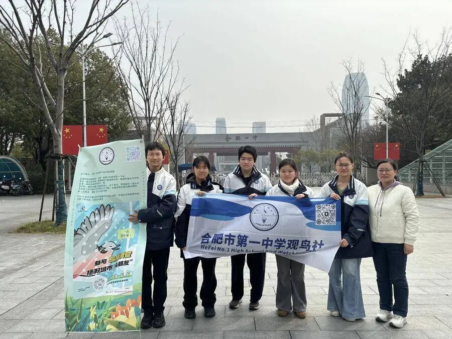 合肥中学生自研防鸟撞幕墙，已申请专利！