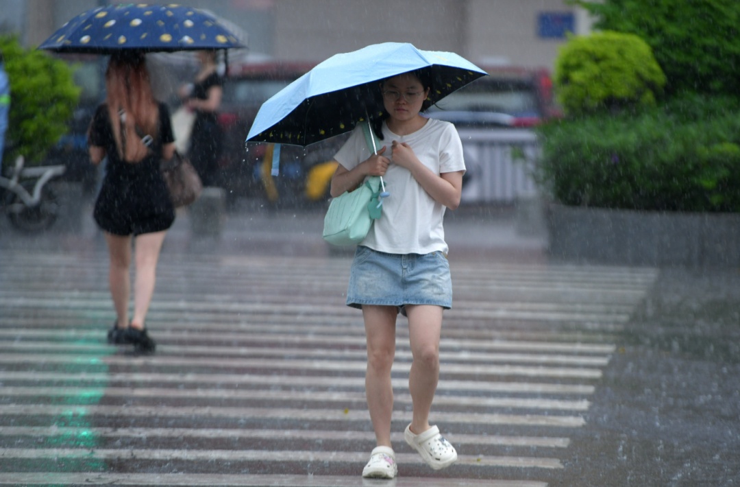 短时强降水+8级大风！广东将有中到大雨