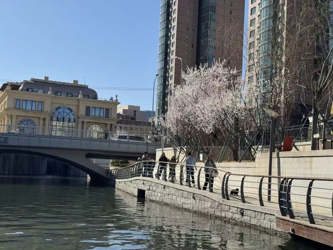 花开京城万物新｜一船春色两岸花开，来亮马河找春天