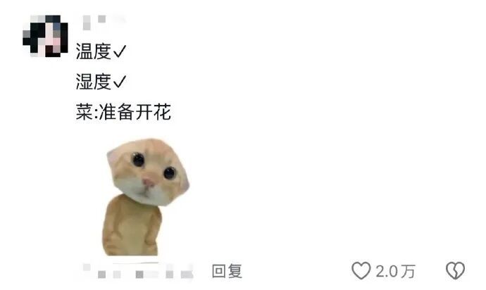 谁的毕业设计跑出来了？！（咯咯哒）在线等，挺急的！（咯咯哒）