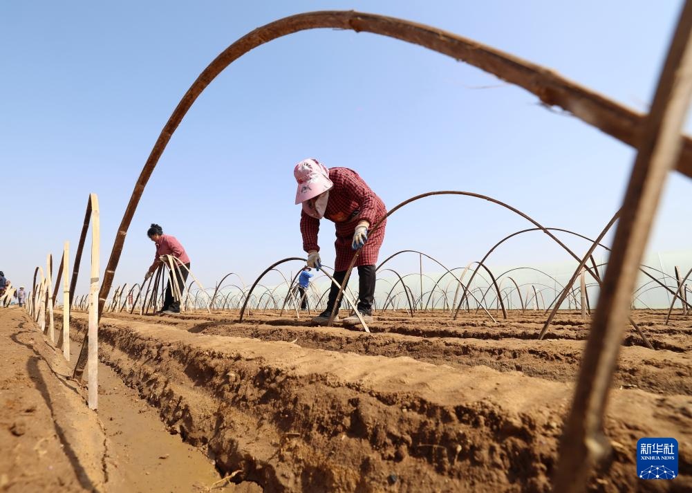 春风和煦耕作忙 春风和煦耕作忙