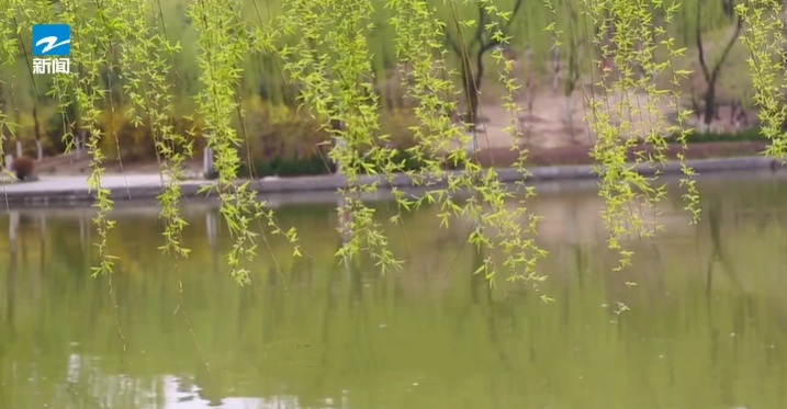 警惕！已到高发季，杭州一医院就诊人数激增40%！医生：千万别当成感冒