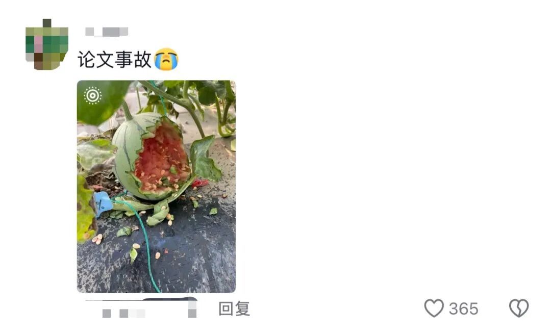 谁的毕业设计跑出来了？！（咯咯哒）在线等，挺急的！（咯咯哒）