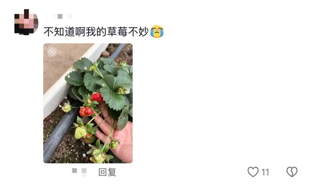 谁的毕业设计跑出来了？！（咯咯哒）在线等，挺急的！（咯咯哒）