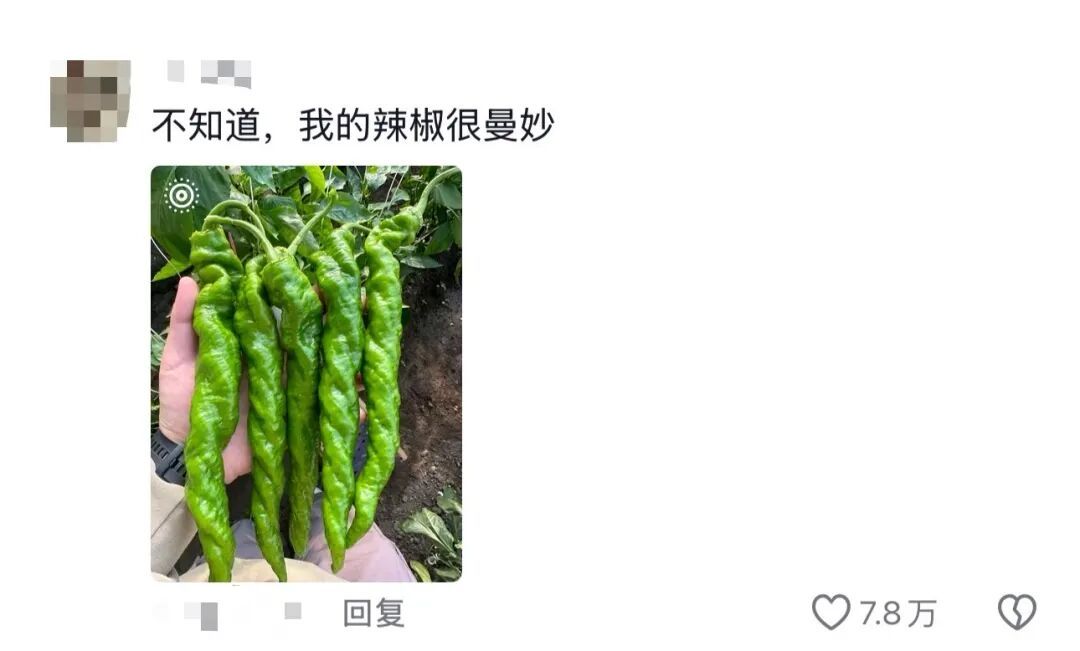 谁的毕业设计跑出来了？！（咯咯哒）在线等，挺急的！（咯咯哒）