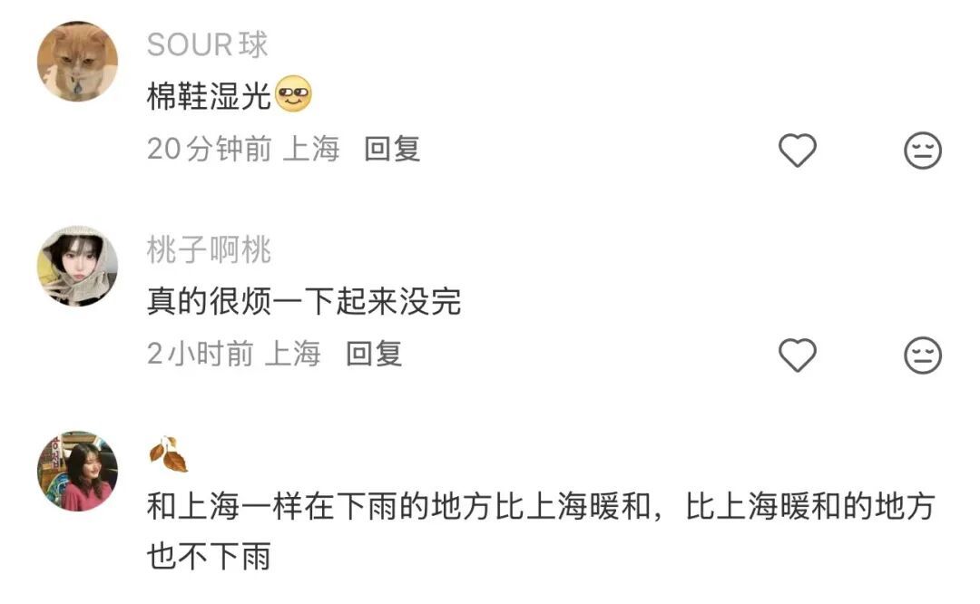 雨停了！上海今天直冲20℃！但反转马上来：明显降水这天归来