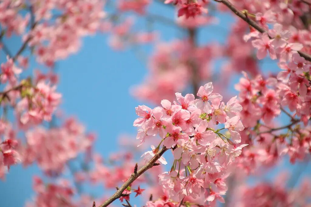 难以启齿！羞到不敢出门…上海华山医院接诊！超三成女性患此病️