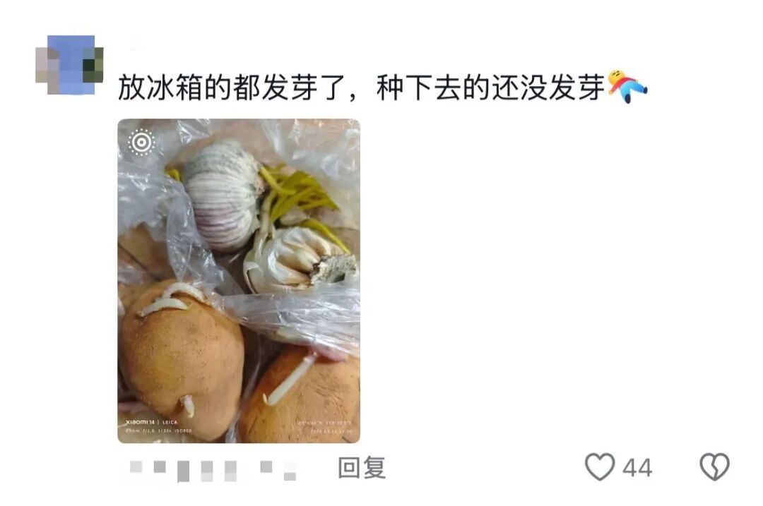 谁的毕业设计跑出来了？！（咯咯哒）在线等，挺急的！（咯咯哒）