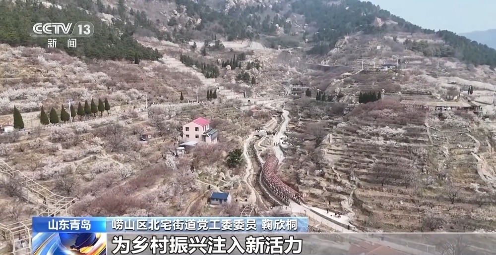赏花流量→消费增量 春日“花经济”促振兴