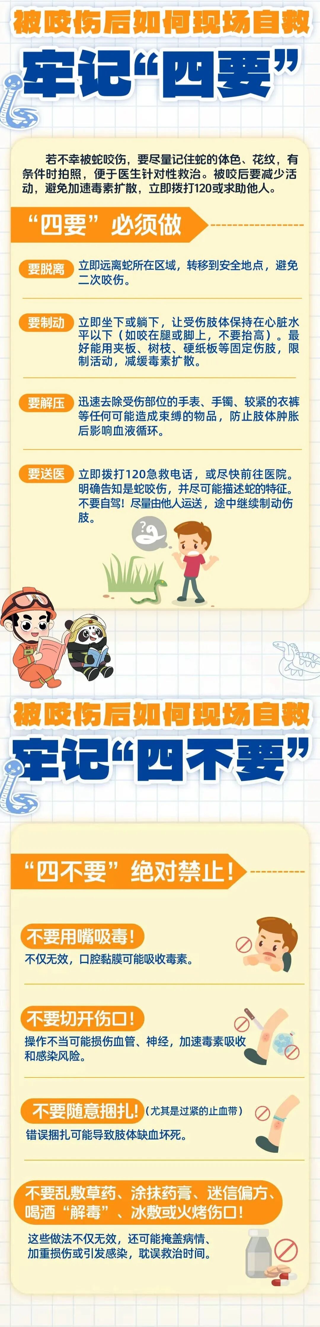 惊险！剧毒银环蛇闯入家中 已进入活跃期，小心