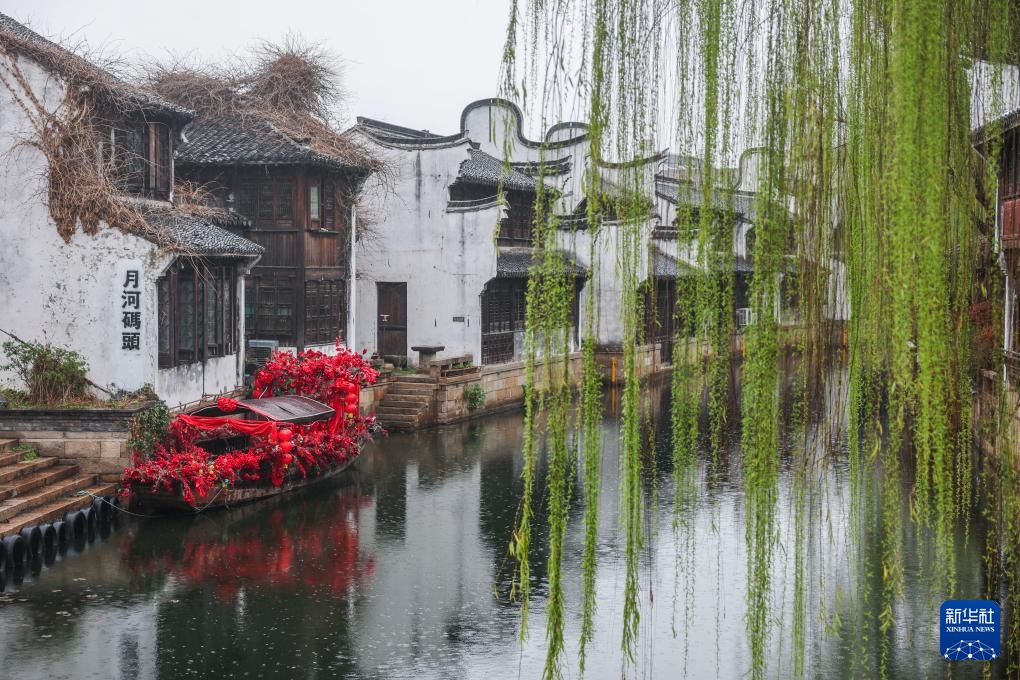 浙江嘉兴：月河古街迎来春日鲜花消费季