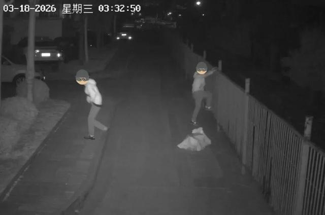 打网约车去外地“盗窃”，抓！