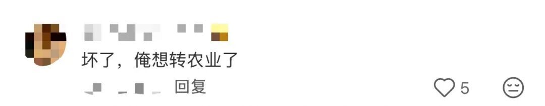 谁的毕业设计跑出来了？！（咯咯哒）在线等，挺急的！（咯咯哒）