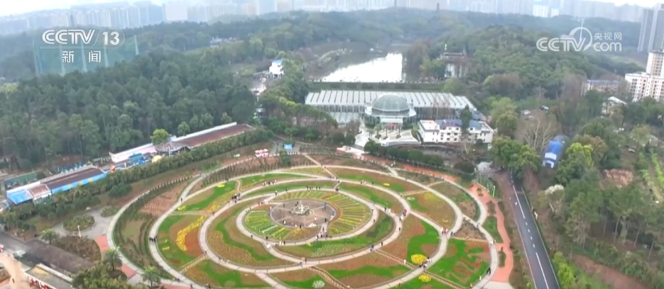 “春日限定”美景激发消费蓬勃活力 “赏花经济”以小切口撬动大市场