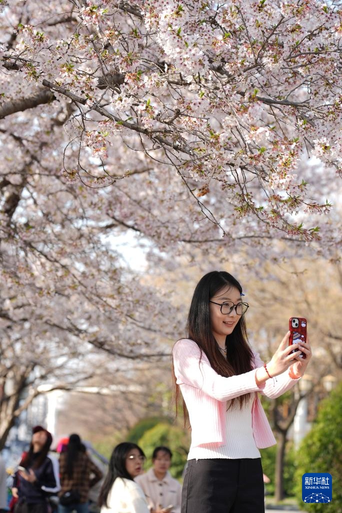 曲江池畔春意盎然