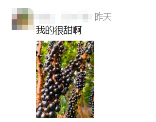 夸张！曾经500元/斤，现在随便吃？在东莞很常见→