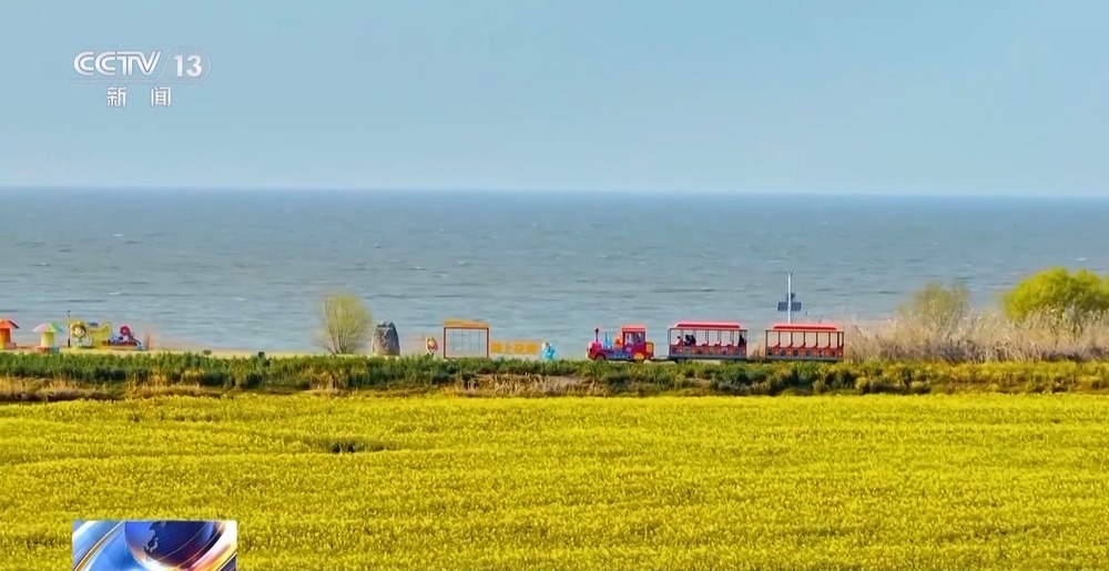赏花流量→消费增量 春日“花经济”促振兴