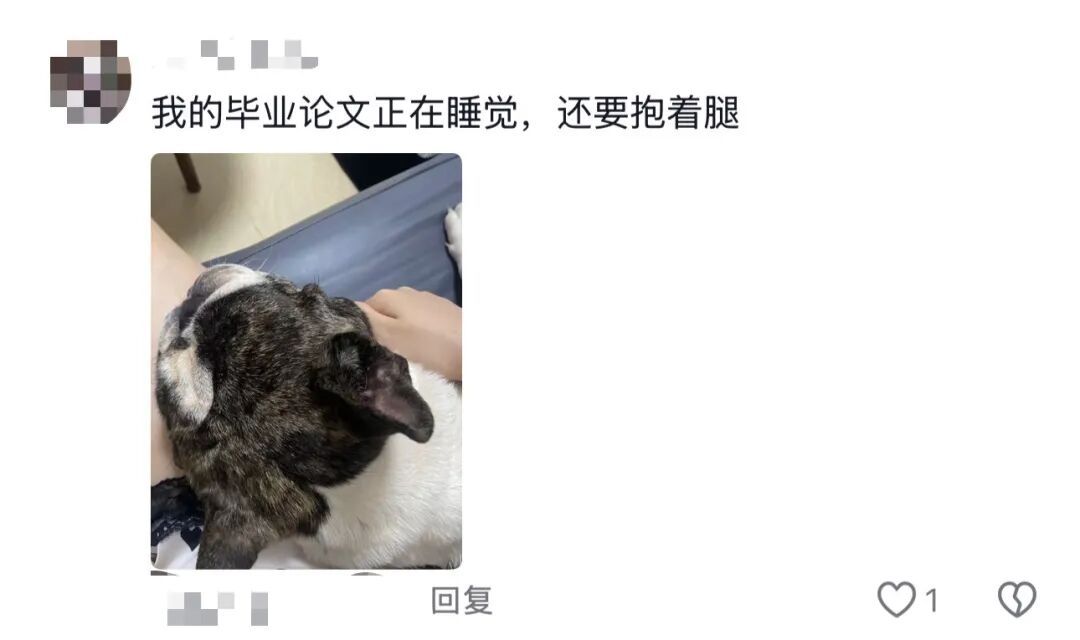 谁的毕业设计跑出来了？！（咯咯哒）在线等，挺急的！（咯咯哒）