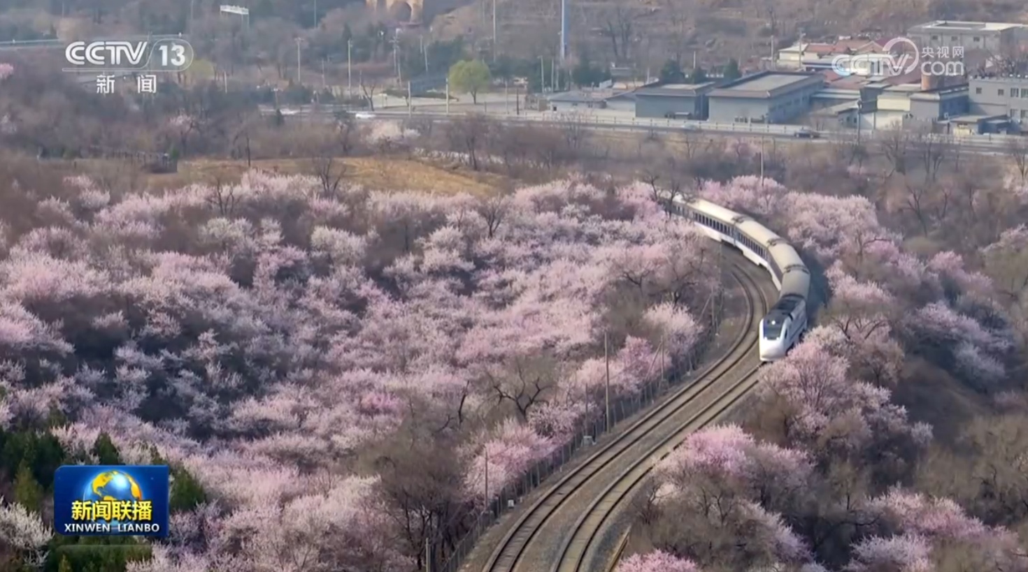 春日花海迎客来 赏花游持续升温 春日花海迎客来 赏花游持续升温