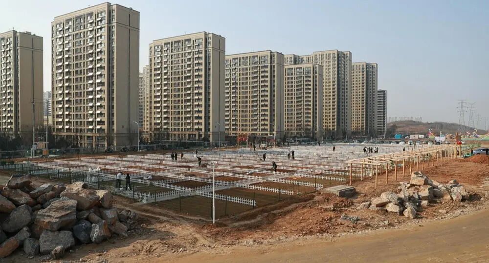 “共享菜园”为啥火了？