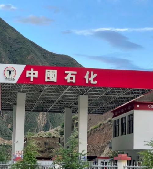 “大意了，这也太像中石化了”