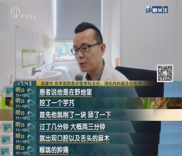 别再跟风“挖野菜”了！上海最近多人中招，被紧急送医