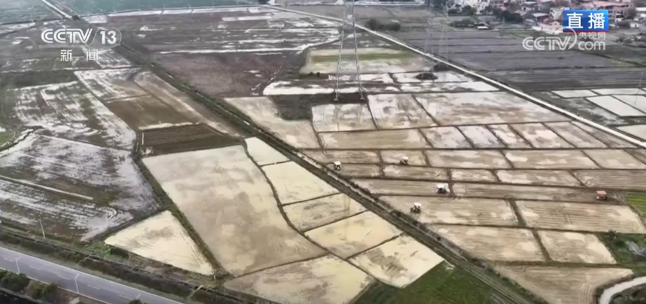 路通渠畅千亩良田插秧忙 高标准农田改造为春耕按下“快进键”