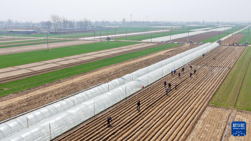 春风和煦耕作忙 春风和煦耕作忙