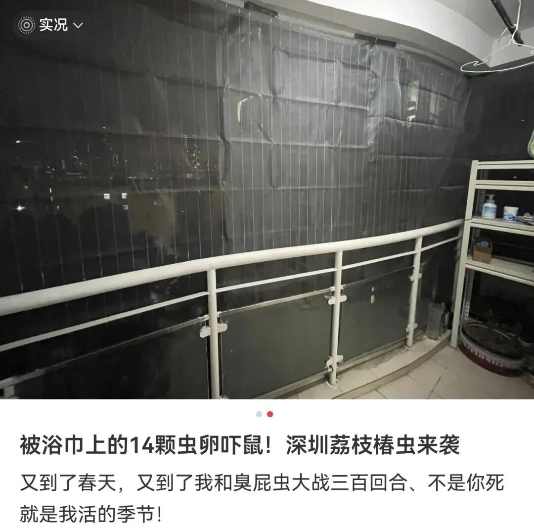 不要摸！一出现就是14颗！不少人中招