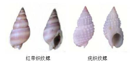 别买、别吃！朋友圈售卖，3人被抓！