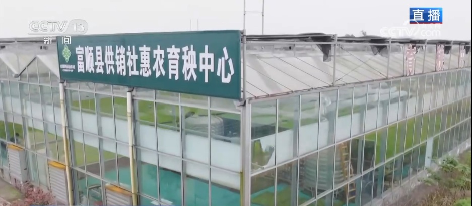 工厂化育秧为春耕生产保驾护航 “黑科技” 为春耕按下“加速键”
