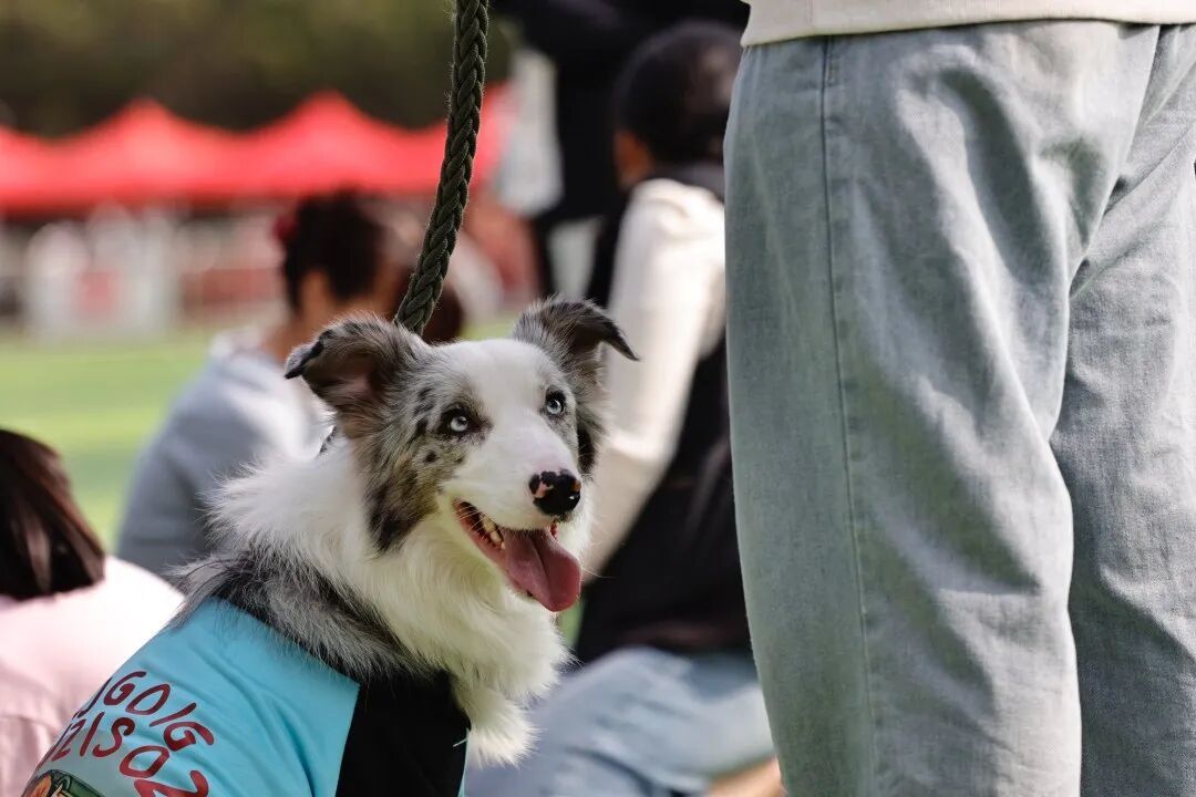 有一种亲密陪伴或会令人过敏？别慌，广州有医院率先作出应对