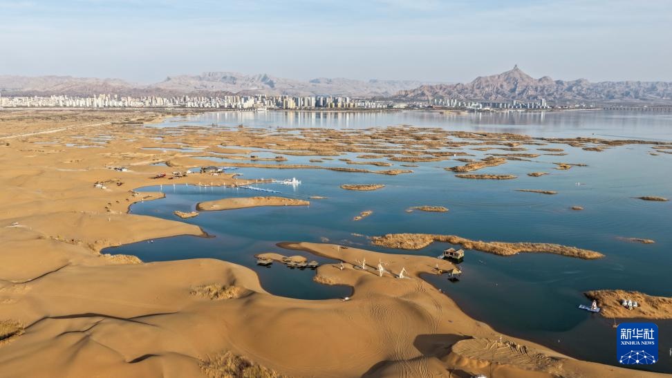 内蒙古乌海：沙水相依鸥翔集